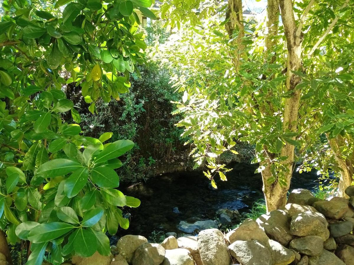 La Rochelle Motel Akaroa Eksteriør bilde